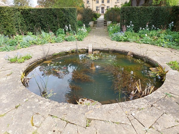Picture of a pond at Tintinhull Garden