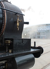 Locomotion