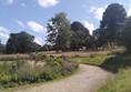 Enys Gardens