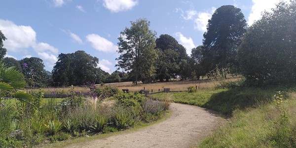 Enys Gardens