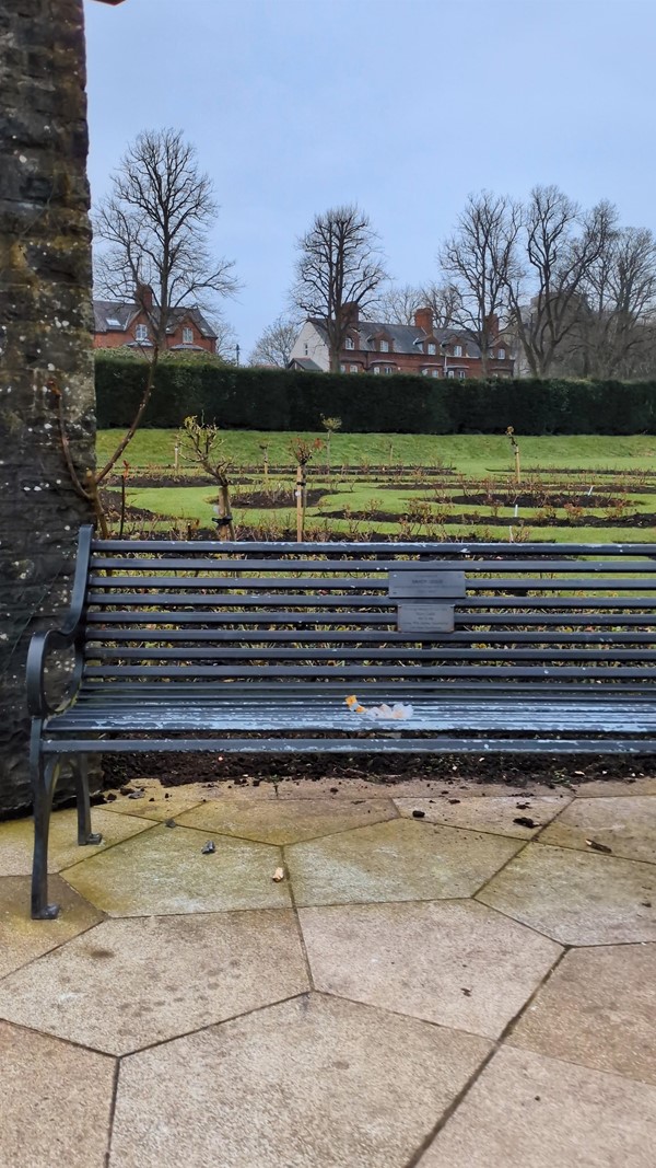 Image of park bench