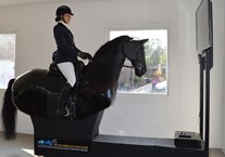 Try Something New at Happy Hooves Riding Centre