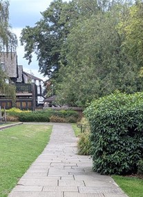 Merrion Street Garden