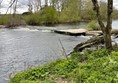 Image of Low Barns Nature Reserve