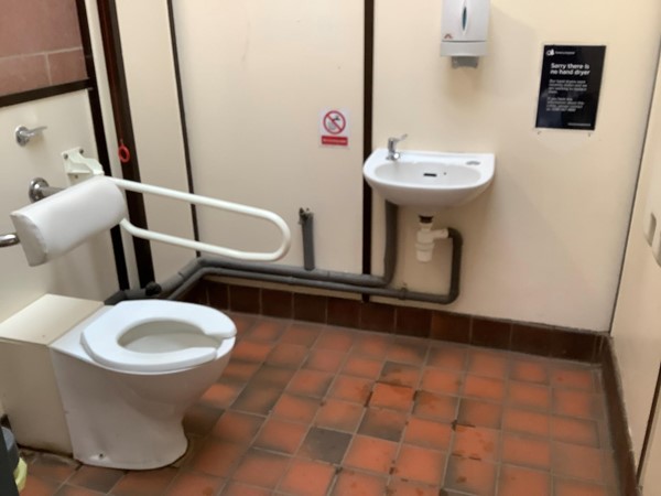 12 disabled toilet