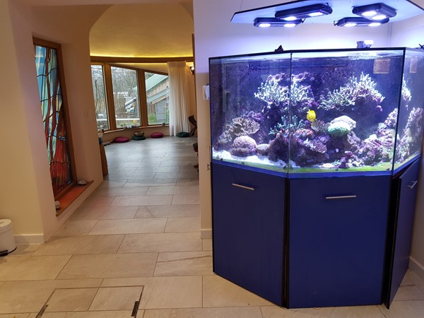 The salt water fish tank leading into the sacred space