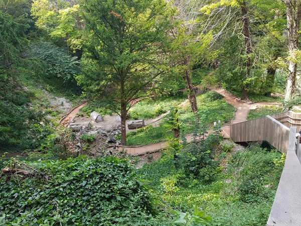 Picture of Walmer Castle and Gardens