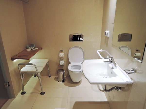 Bathroom, accessible room 101