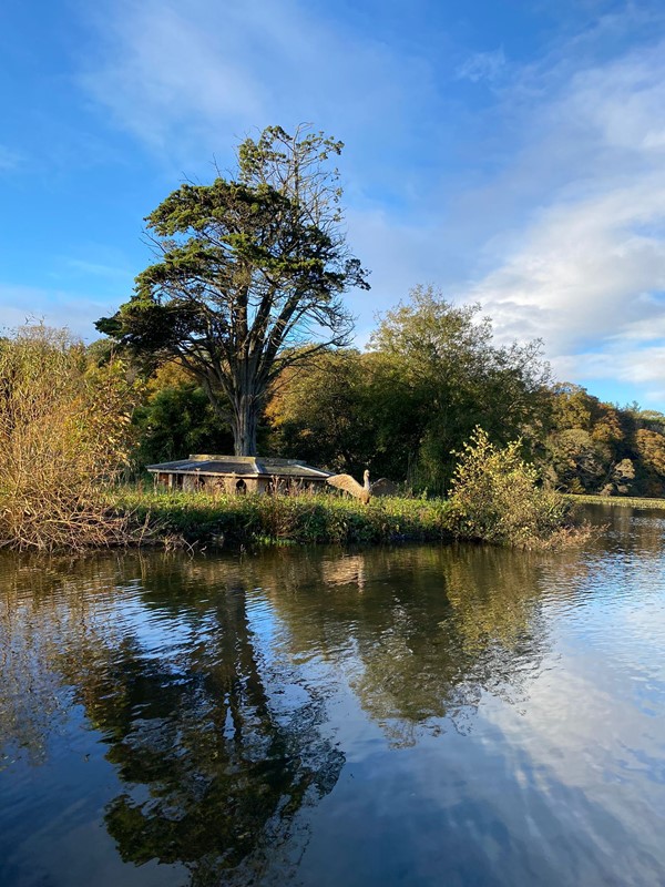 Picture of an island in a lake