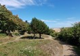 Picture of Lower Leas Coastal Park