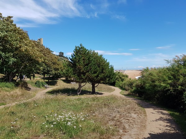 Picture of Lower Leas Coastal Park
