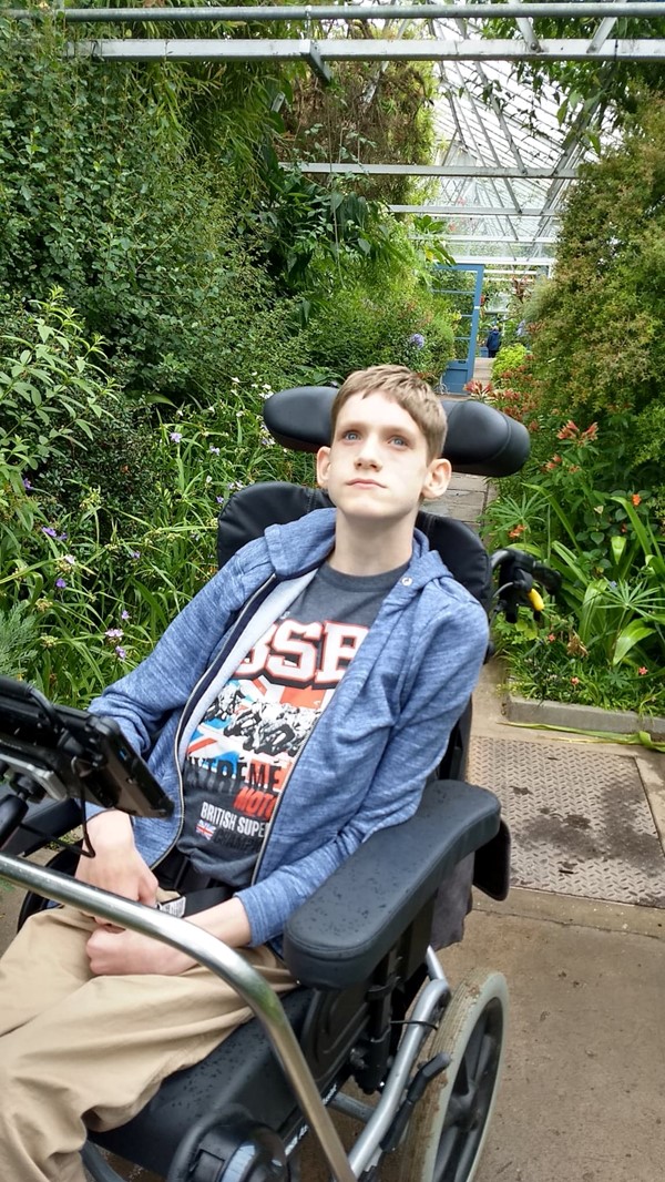 In one of the glasshouses