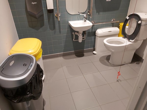 Accessible toilet 1