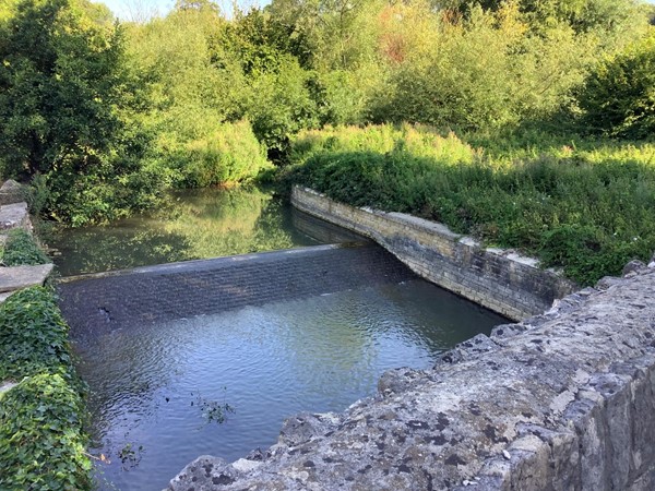 Overgrown bridge