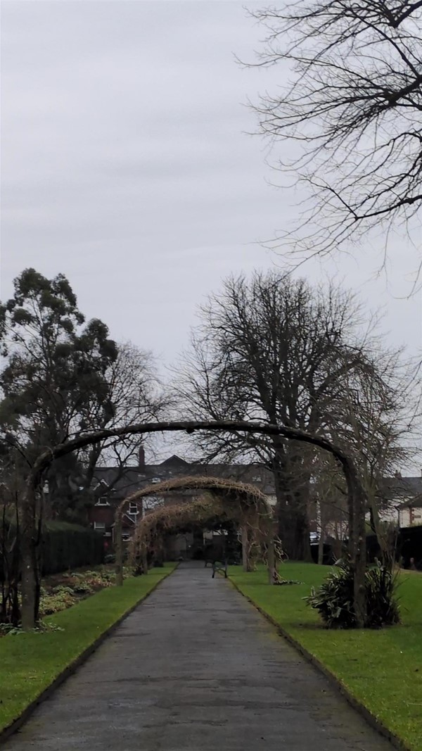 Image of tree archways and tarmac path