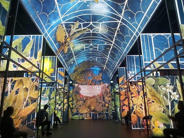 Image of the Book of Kells Experience