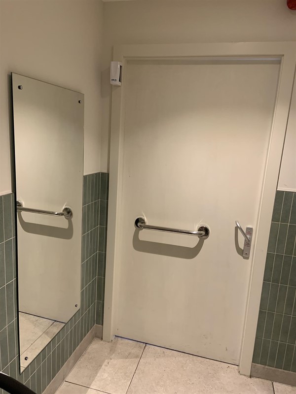 Image of the inside of the bathroom door. There is a handrail on the back of the door and it locks by lifting up the handle. There is a full-length mirror on the wall to the left of the door.