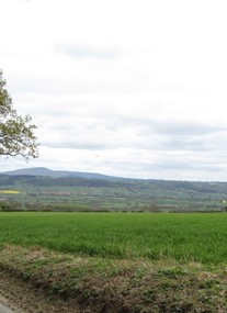 Goosefoot Barn Cottages