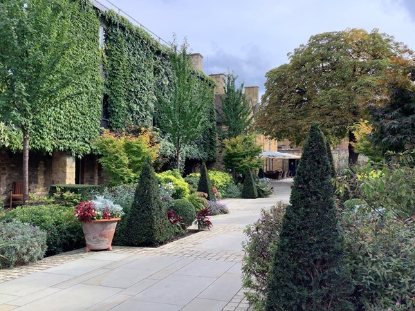 Path through a garden