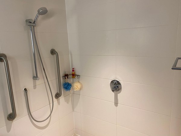 Picture of the shower, insufficient grab rails and no seat.