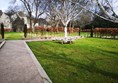 Bench seating around a tree