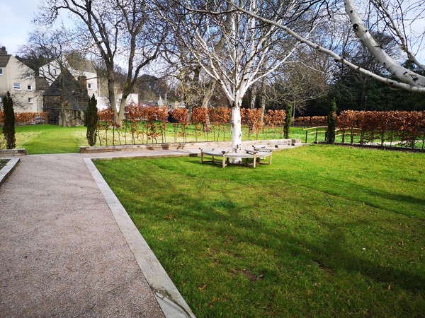 Bench seating around a tree