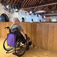 Barriers at Norwich Castle