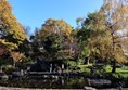 A general view of the beautiful Kyoto Garden