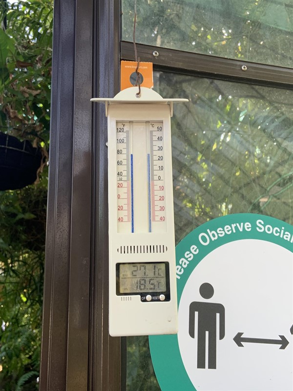 Image of an off-white plastic thermometer in the green house