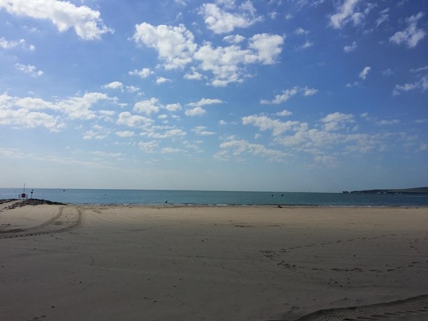 Picture of Sandbanks Beach Cafe - The view
