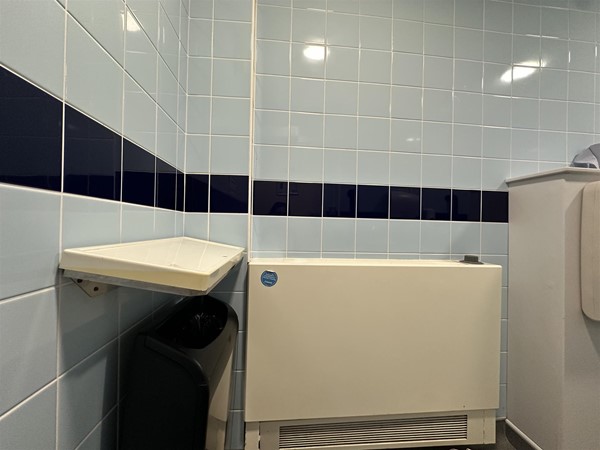 Image of small shelf inside accessible toilet
