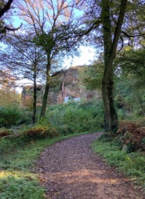 Kinver Edge and the Rock Houses