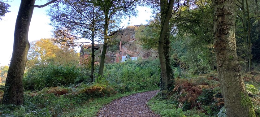 Kinver Edge and the Rock Houses