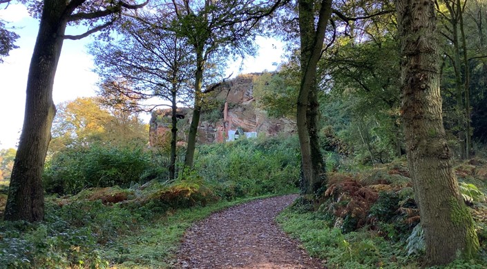 Kinver Edge and the Rock Houses