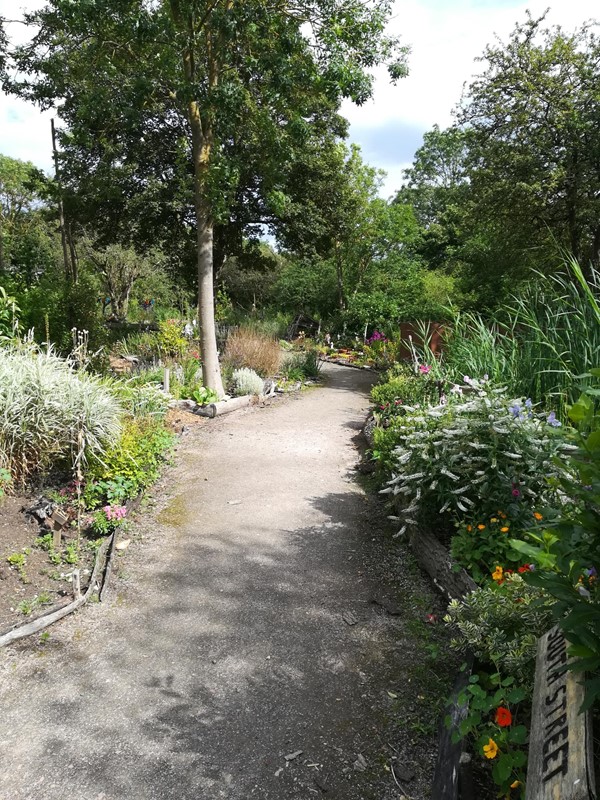 Picture of Langdon Nature Discovery Park, Basildon