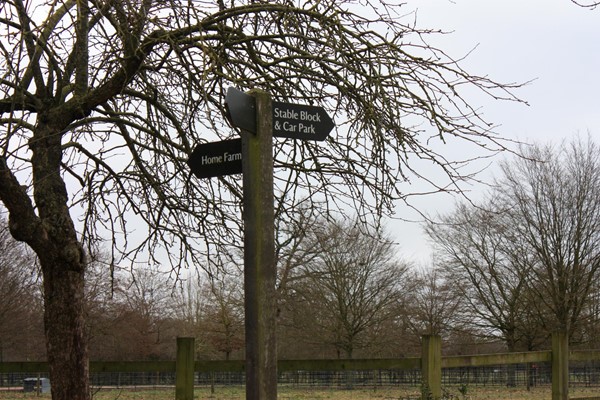 Clear signposts showing which way each path goes