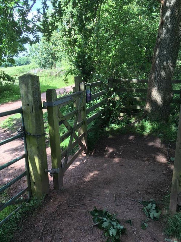 One of the two tricky gates