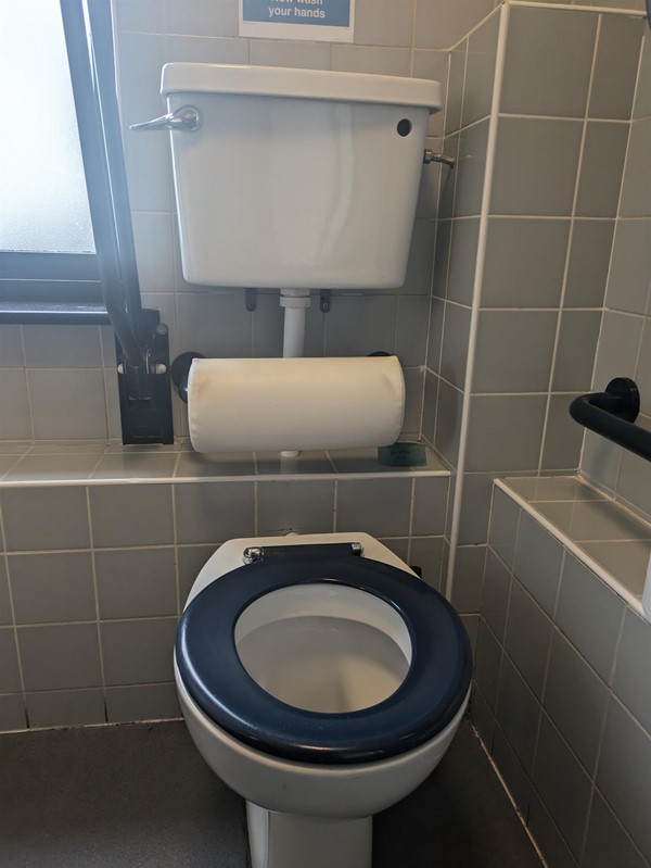 Image of toilet with soft backrest in the accessible toilet