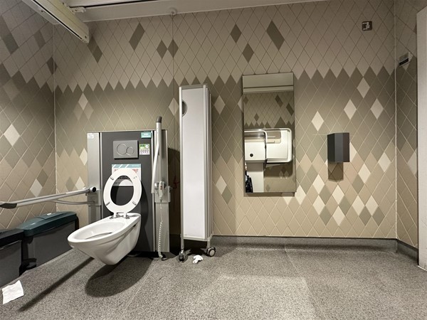 Image of large accessible toilet with wall-mounted mirror and privacy screen