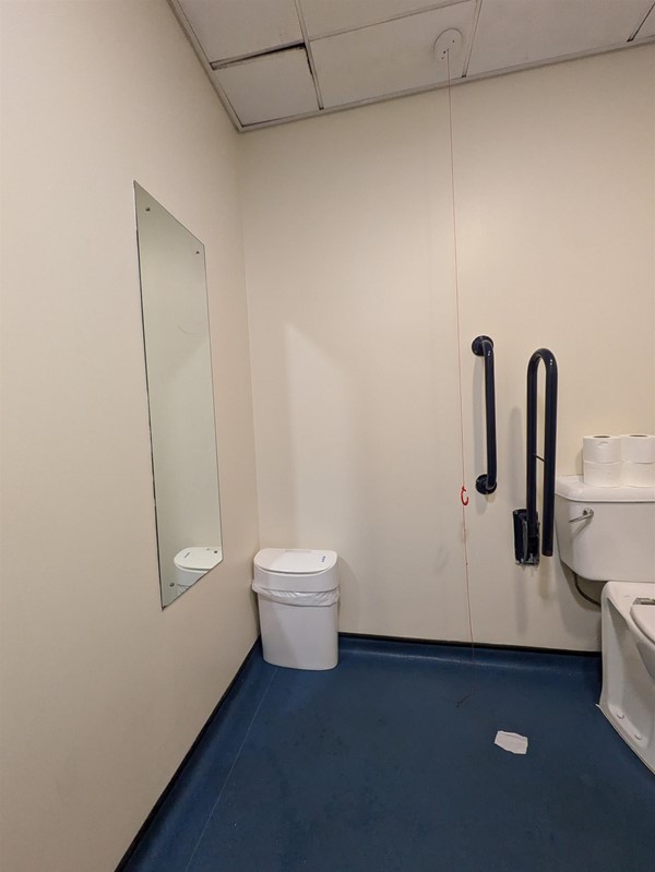 Image of grabrails in a toilet