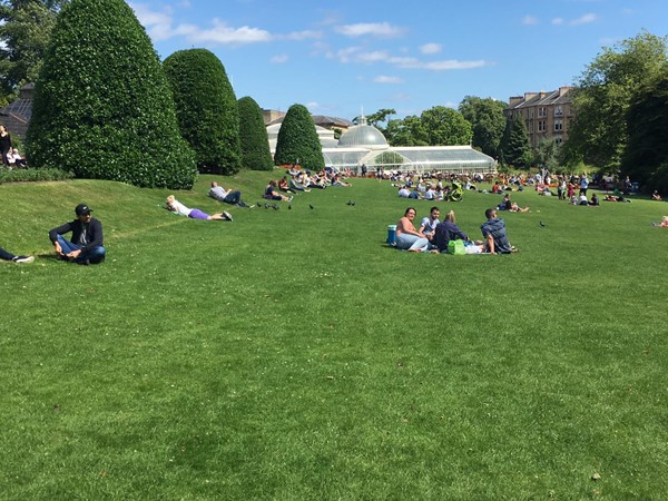 People sunbathing.