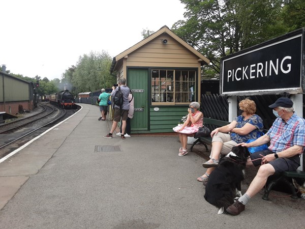 Picture of North Yorkshire Moors Railway, Whitby