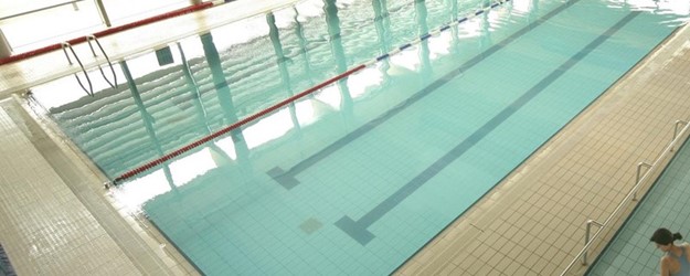 Free Dip Session - Swimming article image