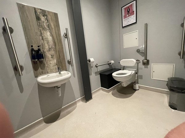 Accessible WC with a mirror wheelchair users can actually use!