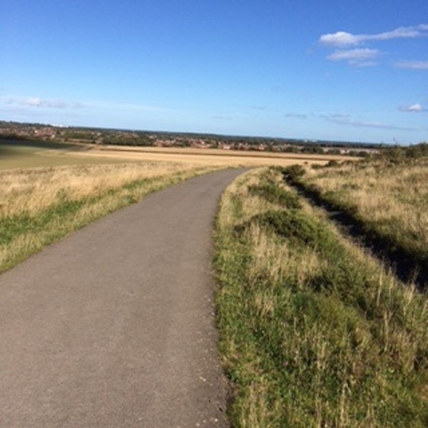 Picture of Weetslade Country Park, Wideopen