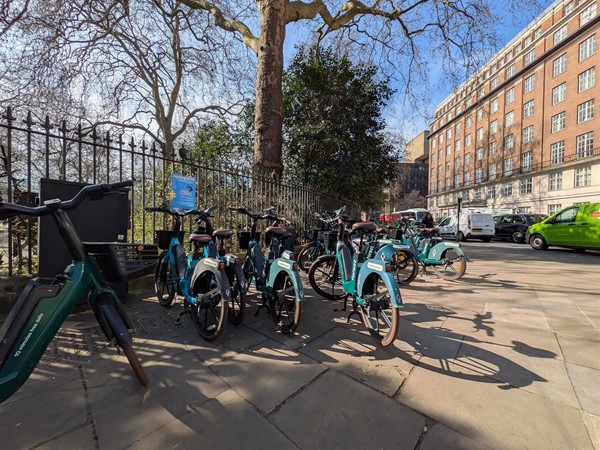 Image of bikes at the park