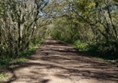 Picture of Western Yar Estuary Easy Access Walk