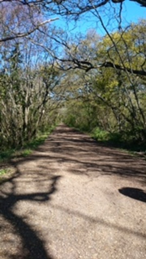 Picture of Western Yar Estuary Easy Access Walk