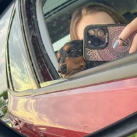 Picture taken in a car wing mirror showing a small dog's head sticking out of the window