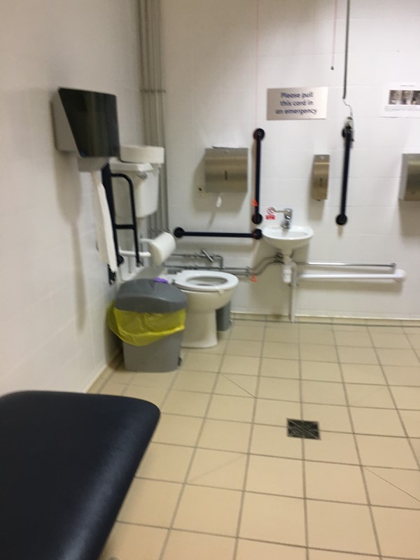 Accessible Shower
